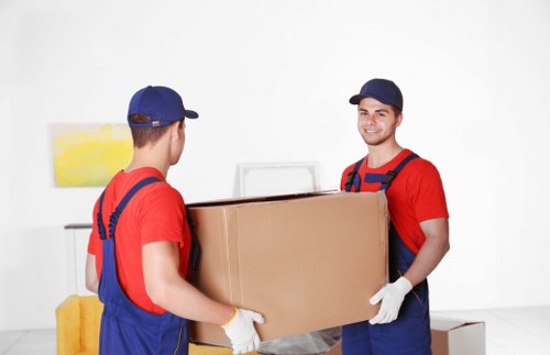 Anerley man with a van helping with a home or business delivery