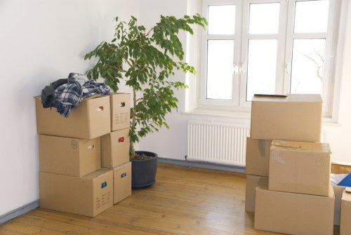 Packed boxes and furniture ready for a home move in Anerley