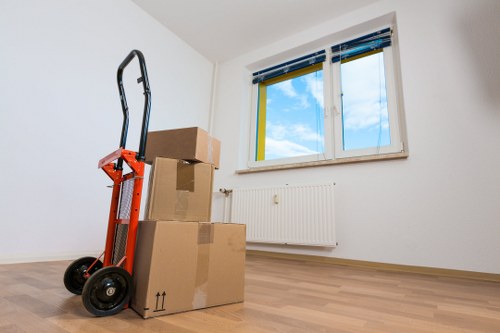 Furniture and boxes prepared for a man with van service in Anerley